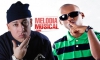 Cosculluela feat. El Fother - Subelo (Official Remix)