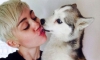 Miley Cyrus evita leer cosas que le maten las “neuronas”